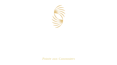 Sekoya 17